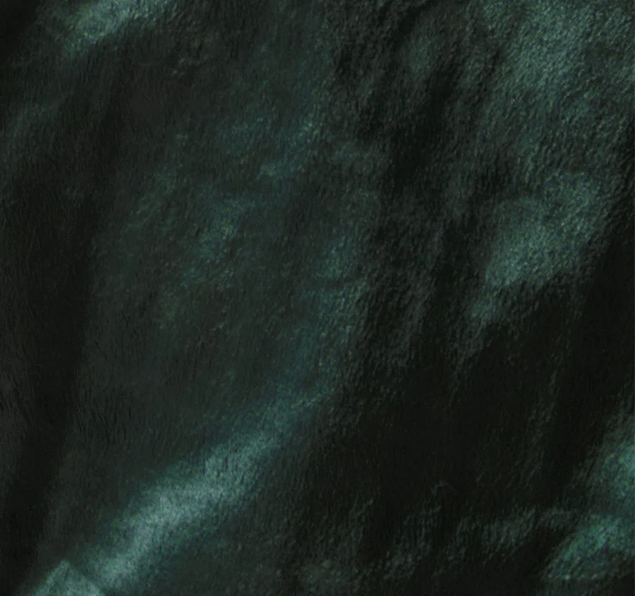 Sena Blanket Range Forest - Image 2